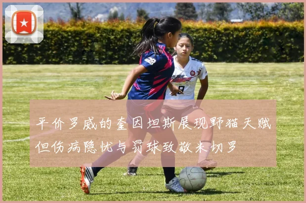 平价罗威的奎因坦斯展现野猫天赋但伤病隐忧与罚球致敬米切罗