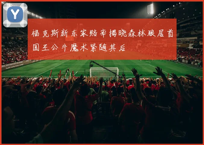 福克斯新东家赔率揭晓森林狼居首国王公牛魔术紧随其后