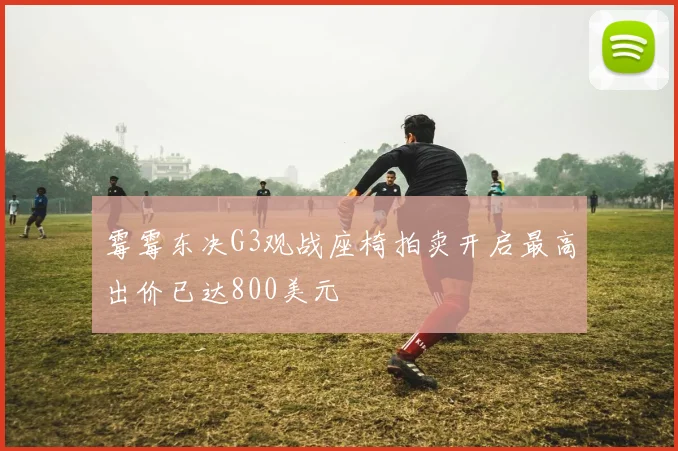 霉霉东决G3观战座椅拍卖开启最高出价已达800美元